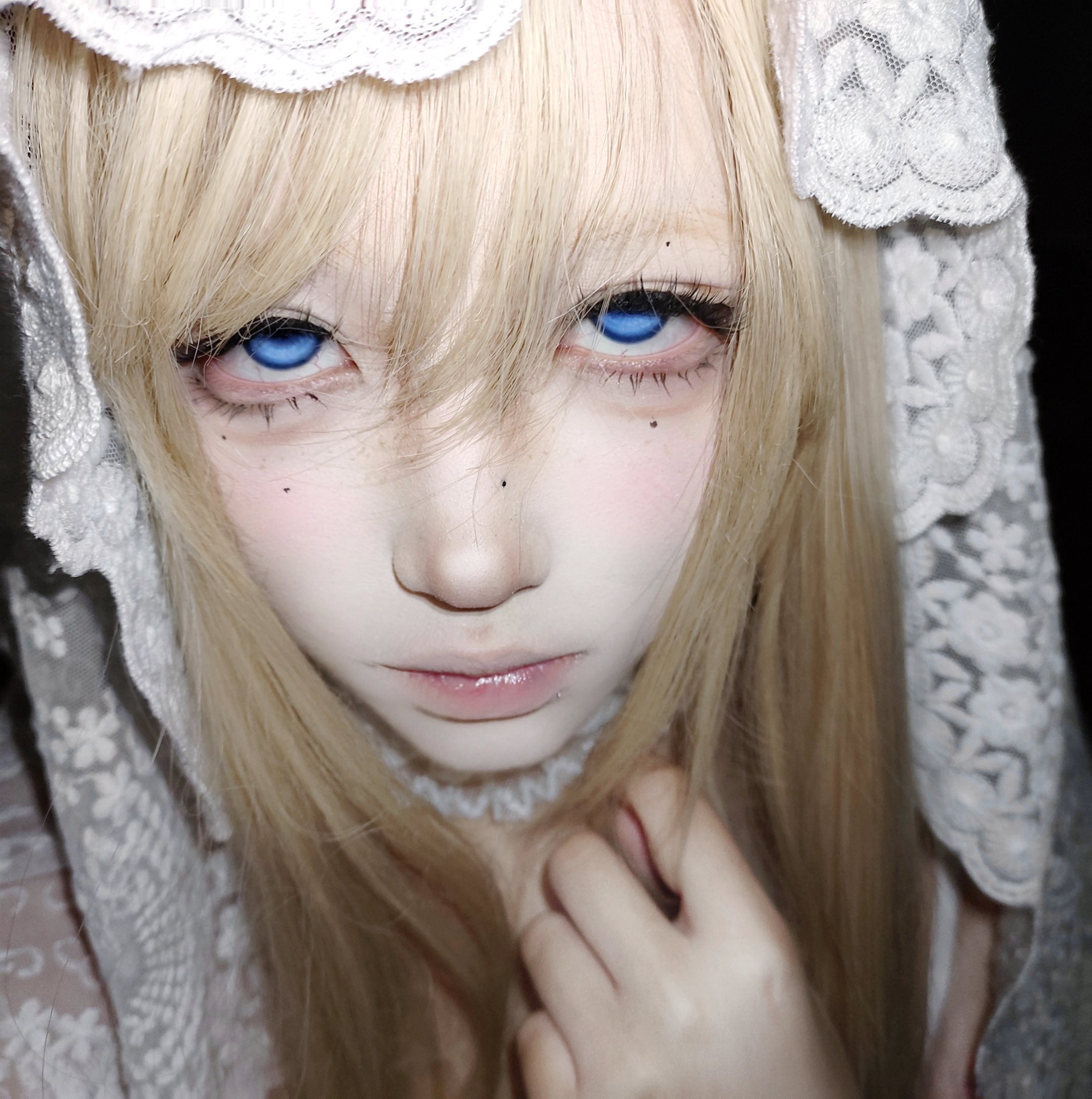 BJD Koi Brilliant Blue - Ohmykitty Online Store