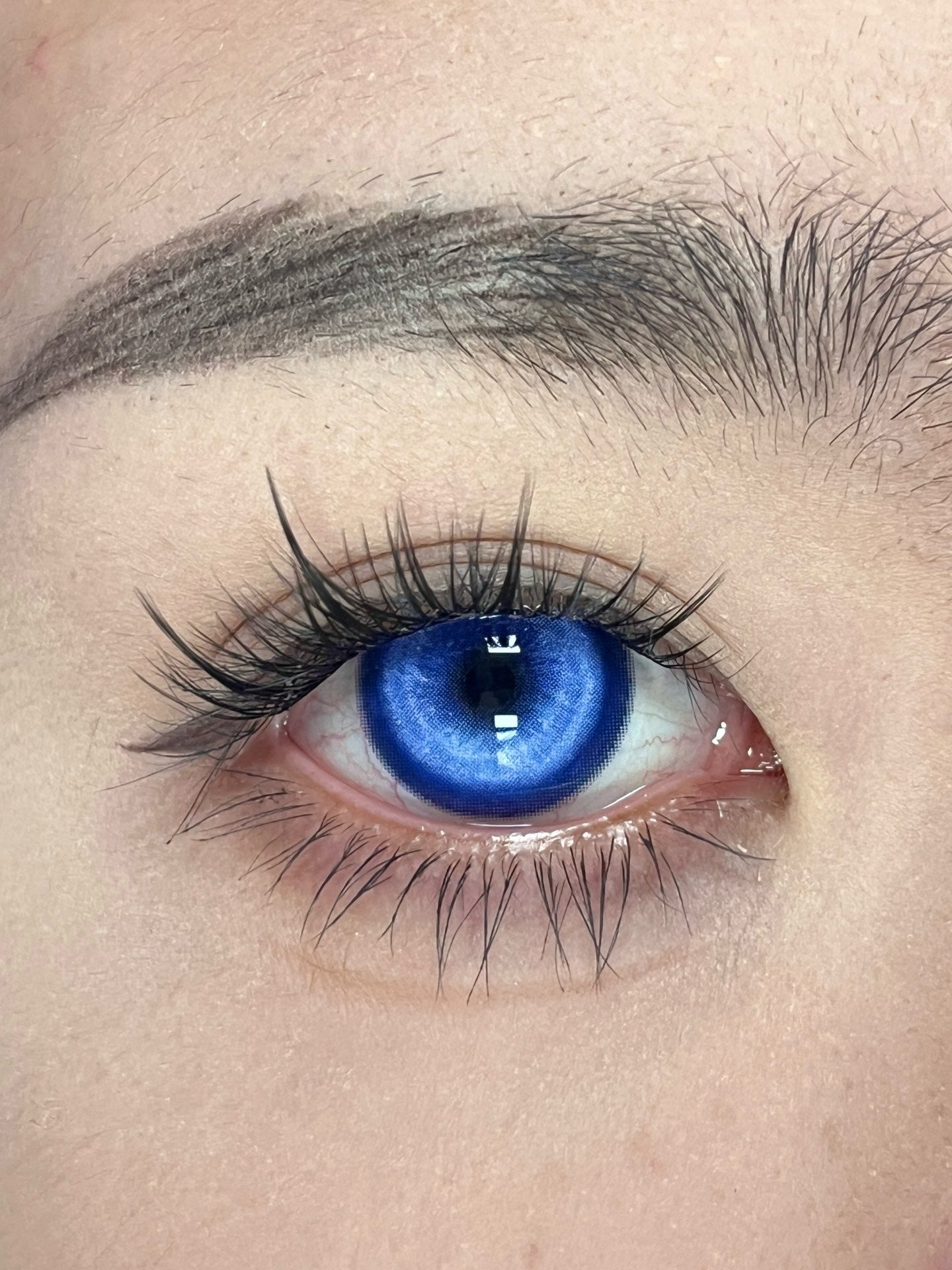 BJD Koi Brilliant Blue