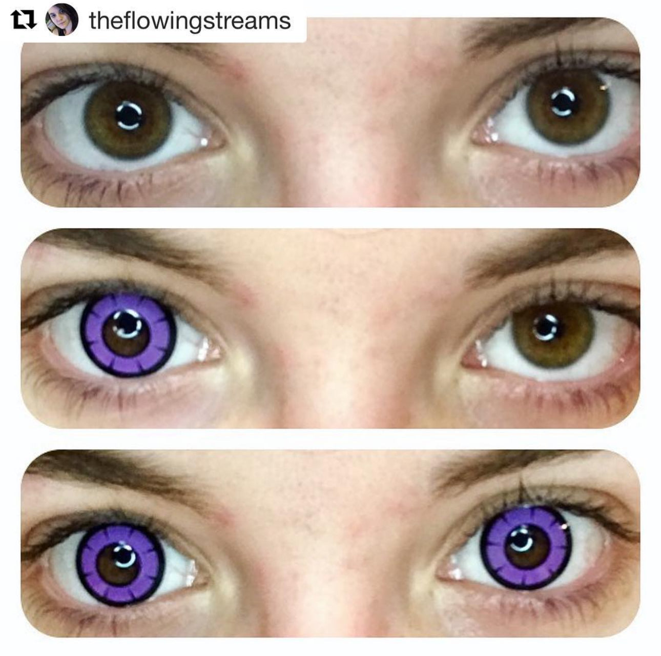 Twilight Violet - Ohmykitty Online Store