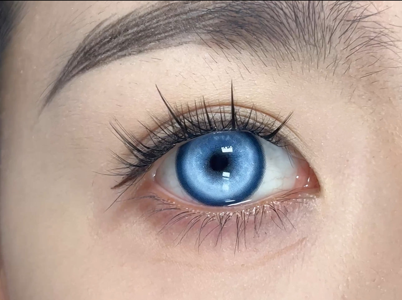 BJD Koi Blue (Light)