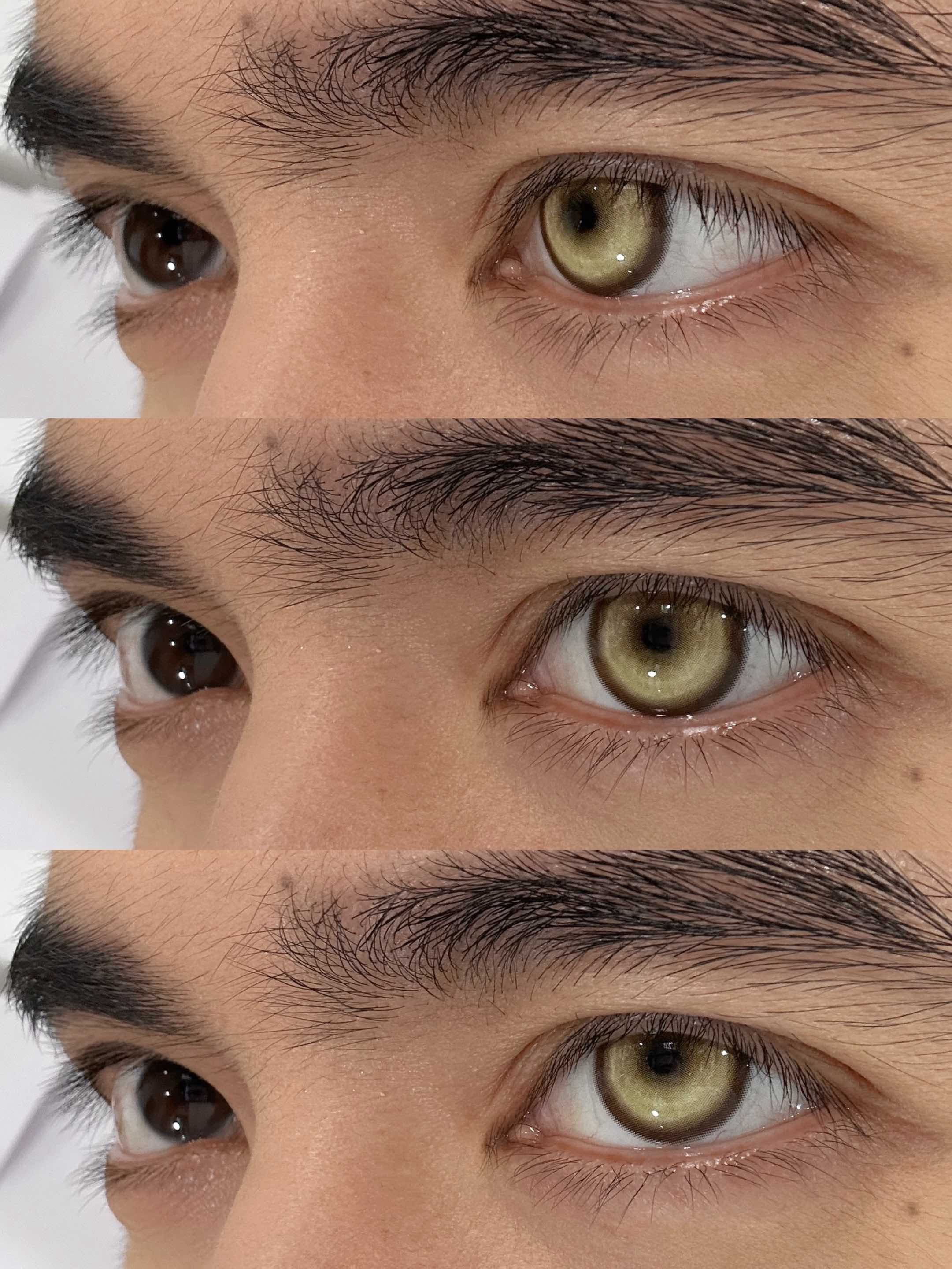 BJD Koi Golden Brown - Ohmykitty Online Store