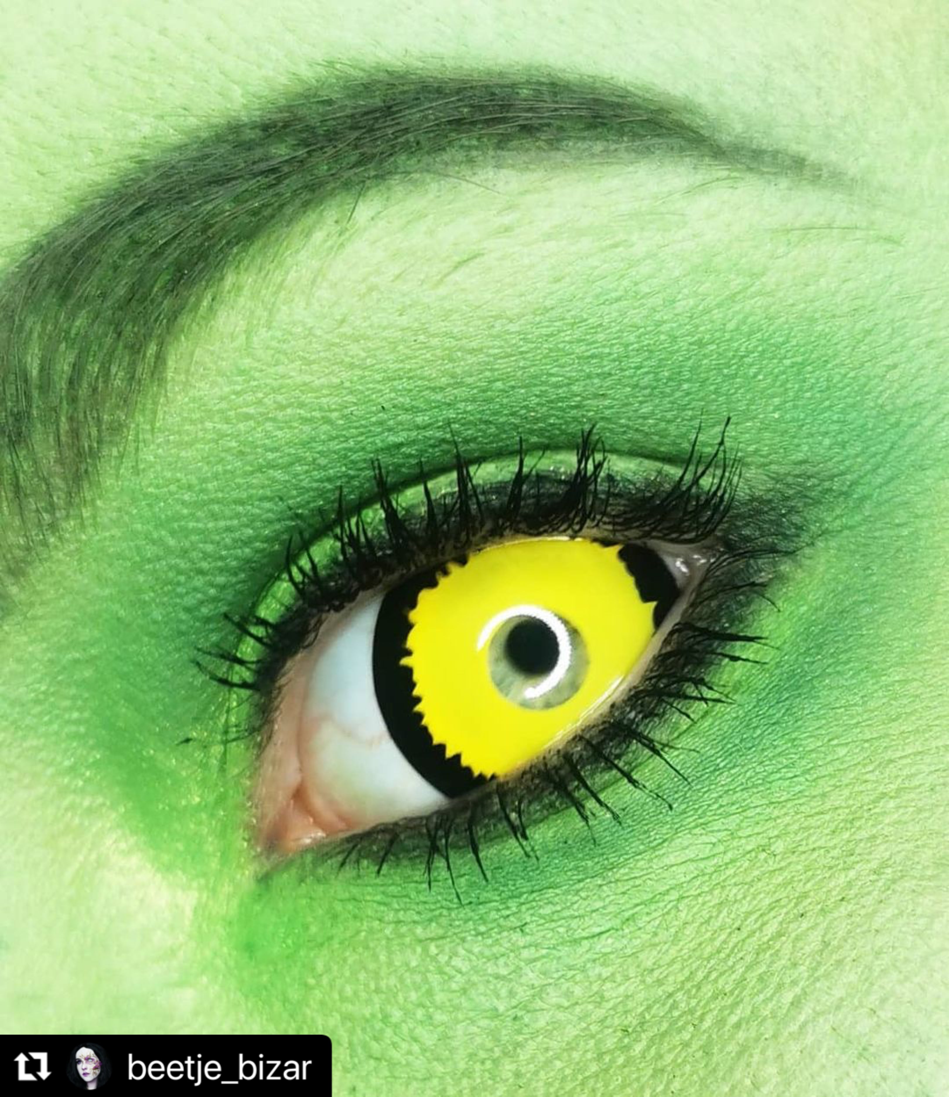 Tigera 17mm - Ohmykitty Online Store