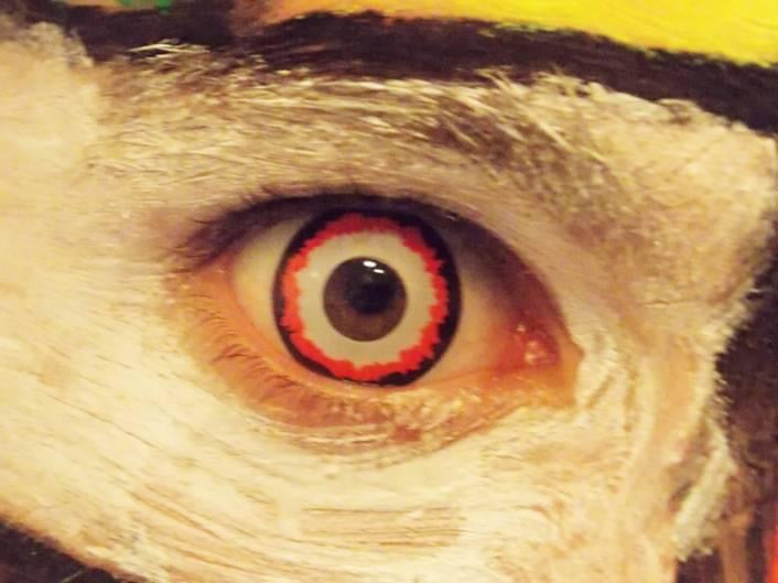 Minotaur 17mm - Ohmykitty Online Store