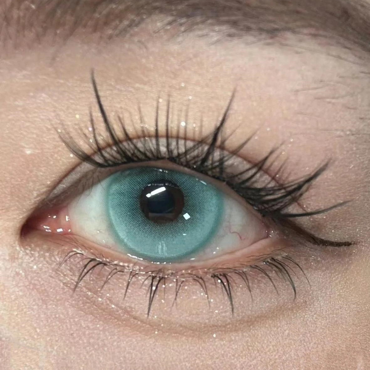 Jellybean Berry Blue