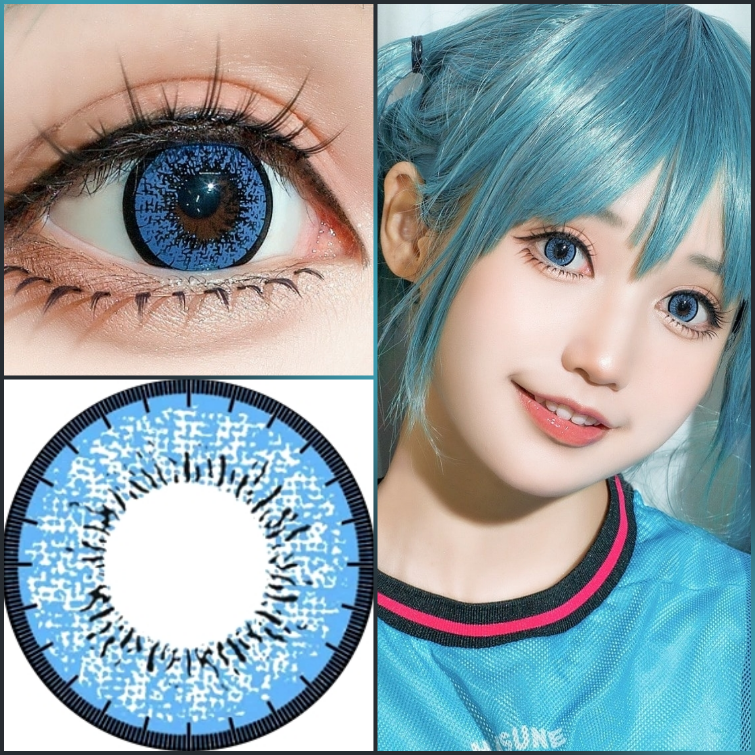 Blytheye Azul (EOS Nuevo Adulto)