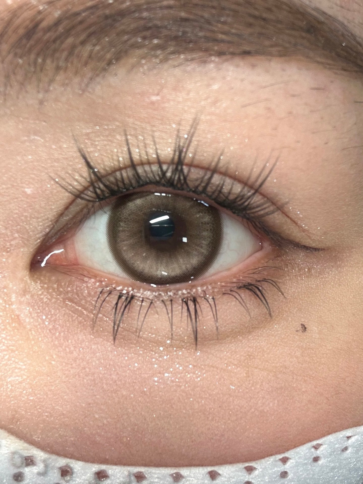 Moonveil Timeless Brown