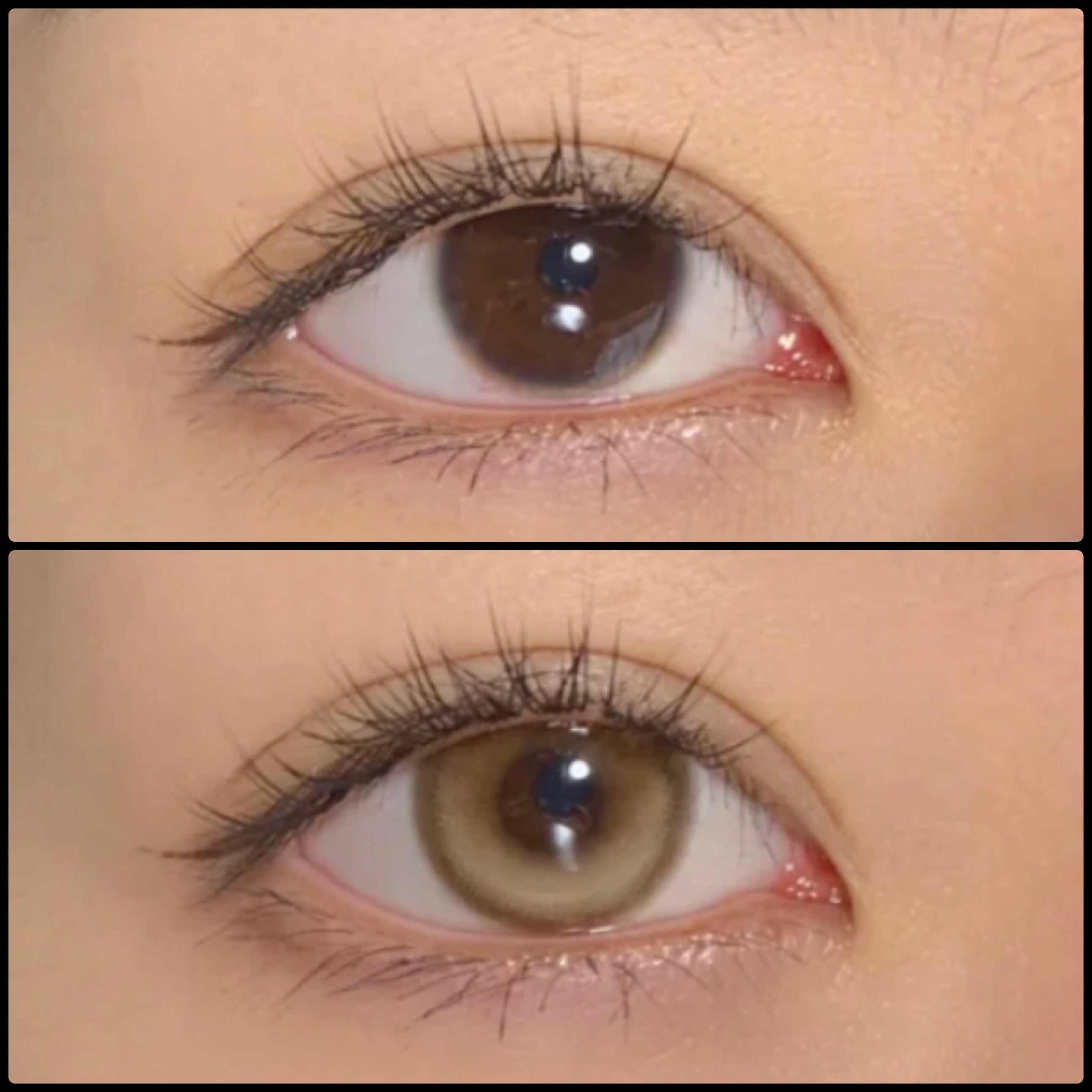 Marrón claro (CR04)