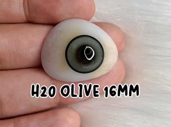 H2O Olive