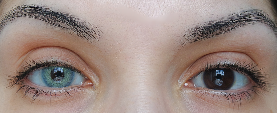 symphony blue hyperopia color contacts