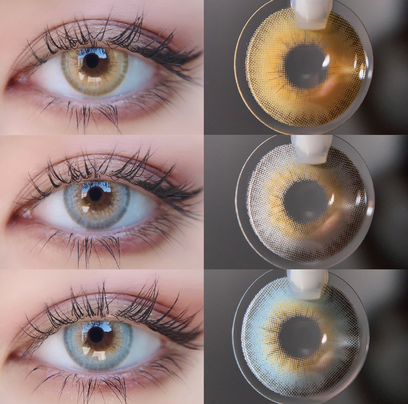 Azul Hokkaido (CR55)