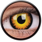 Orange Werewolf (Daily Disposable) - Ohmykitty Online Store