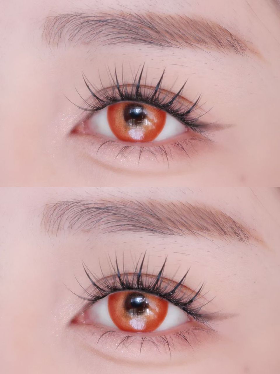 DG Daily Sunset (dorado y naranja)