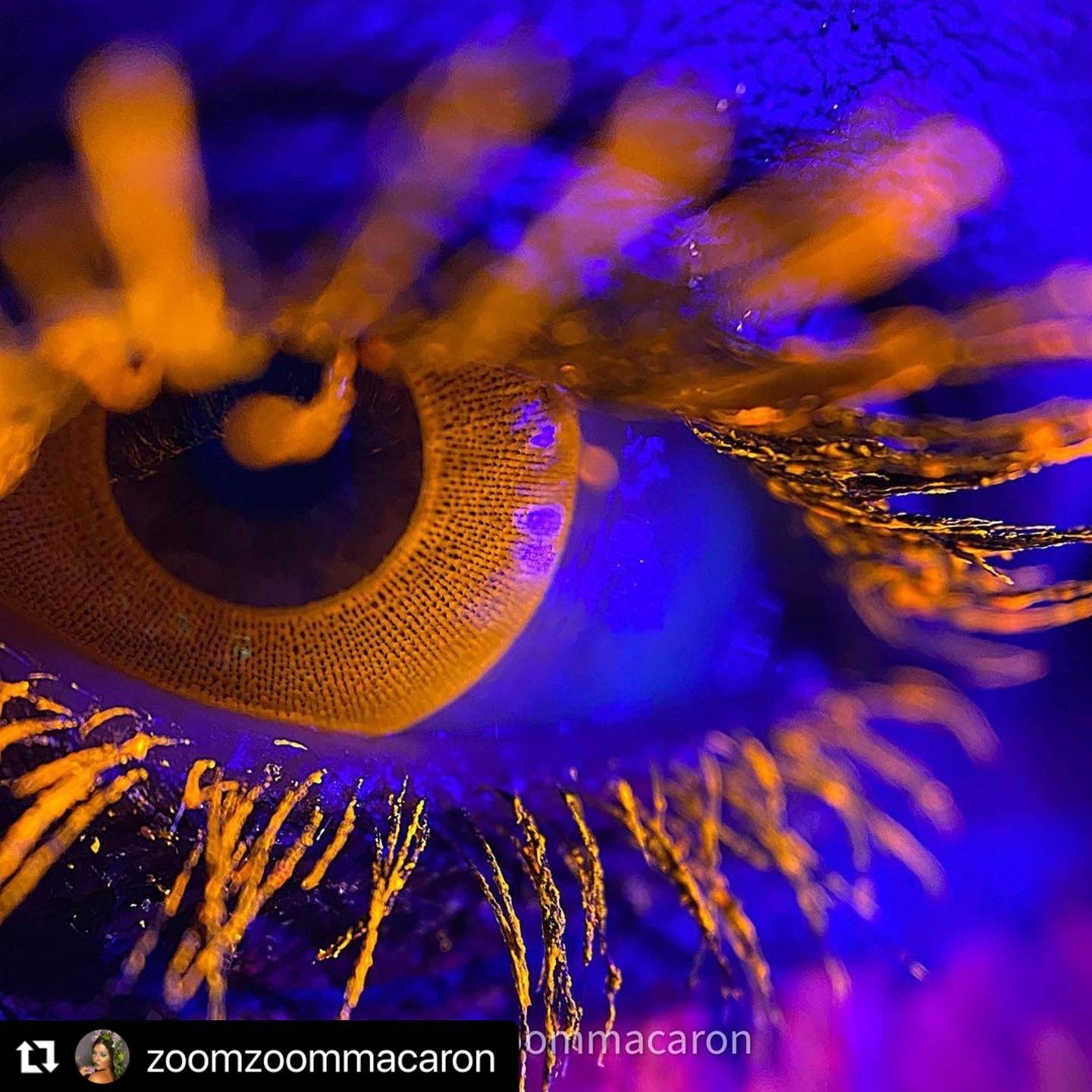 UV Glow Orange - Ohmykitty Online Store