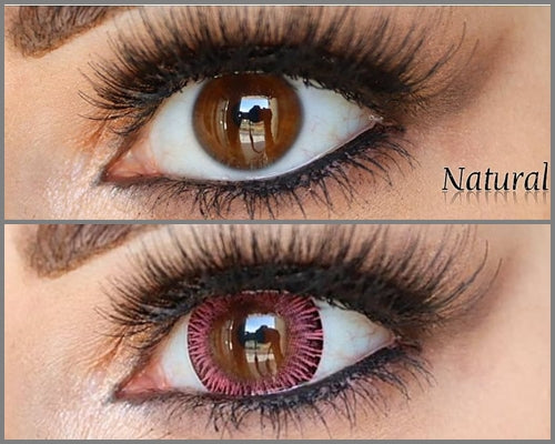 Rosa hada real (rosa RF)