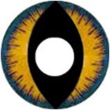 Wolf Moon - Ohmykitty Online Store