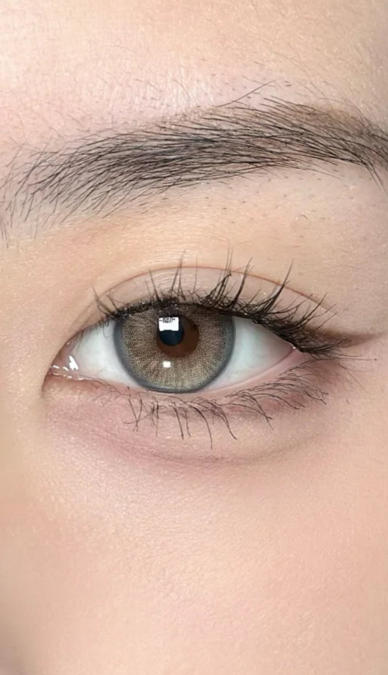 Western Eyes Lemon Gray