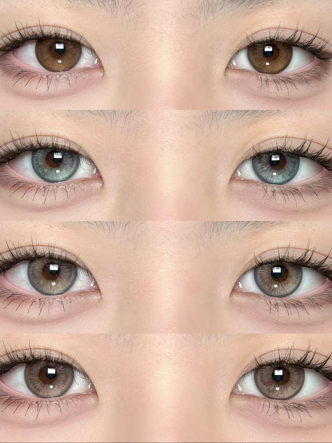 Western Eyes Lemon Choco