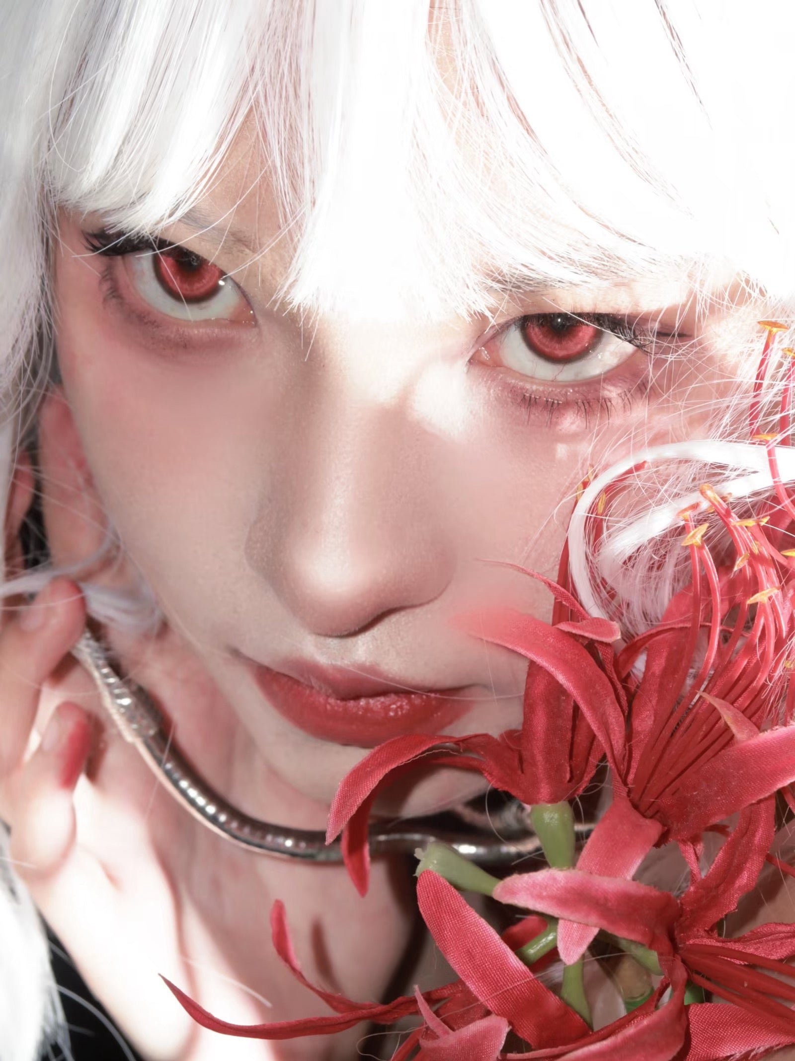BJD Koi Red