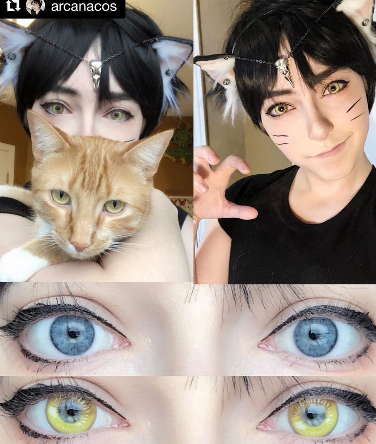 Coscon Anime Gray