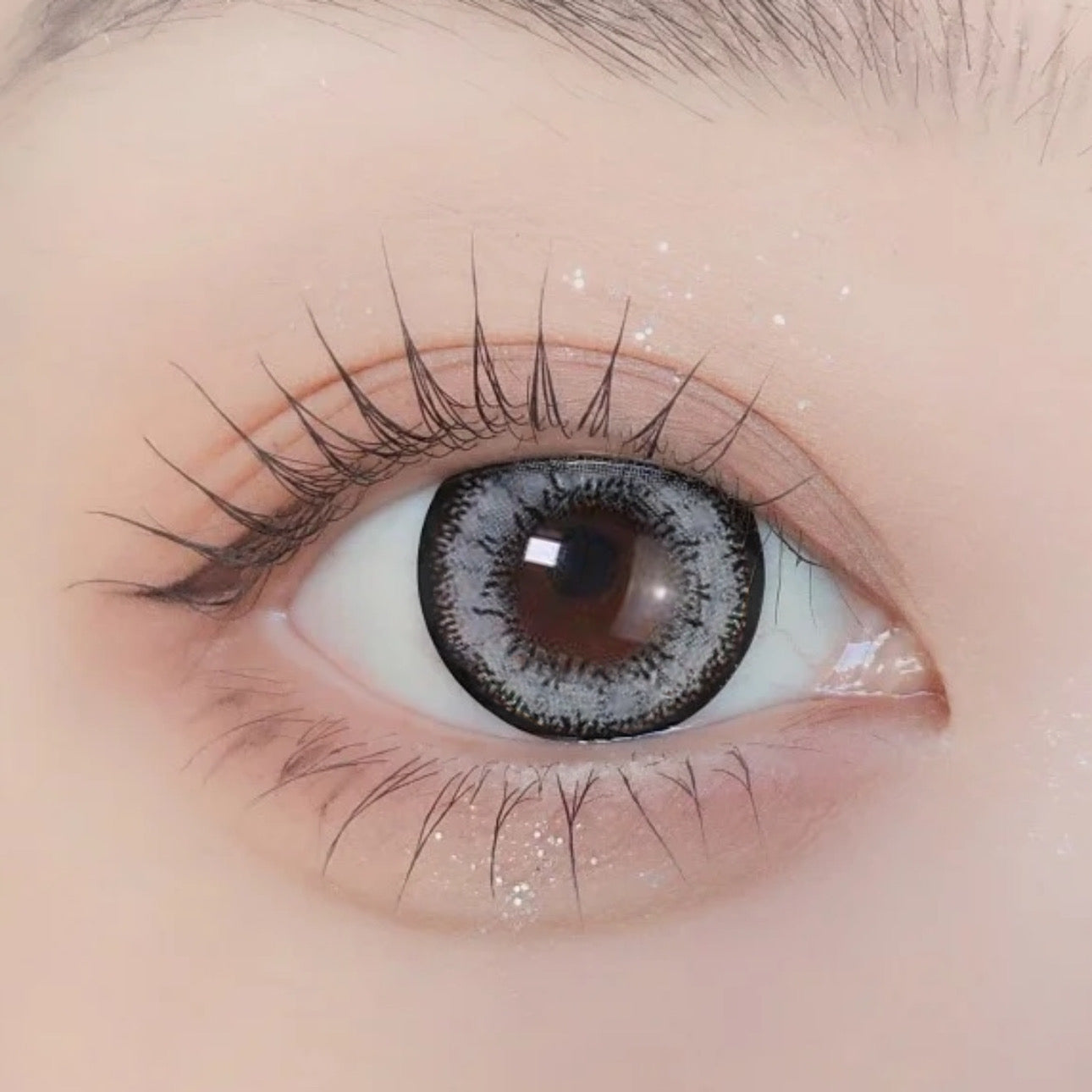 I-Codi Dolly+ Grey
