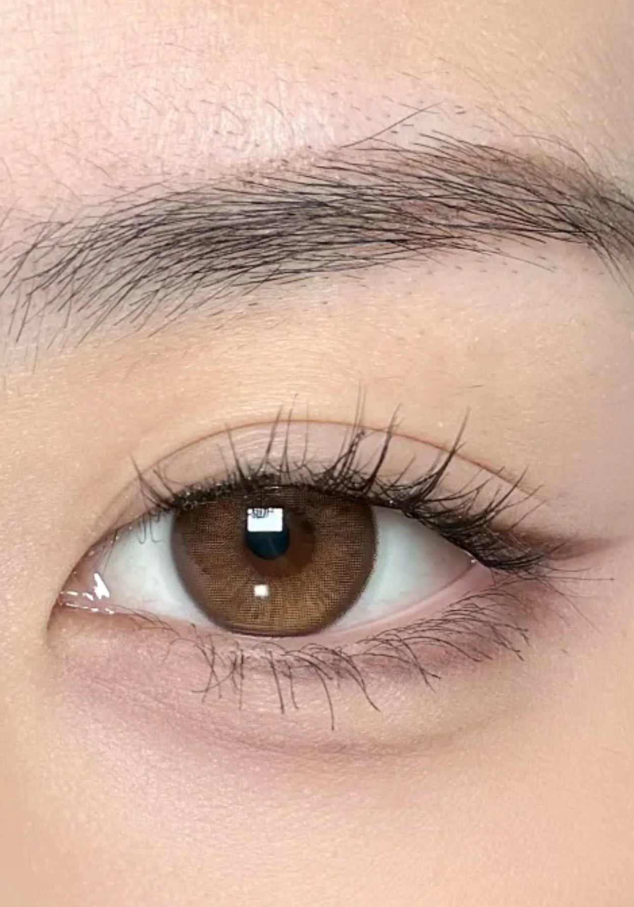 Western Eyes Lemon Choco