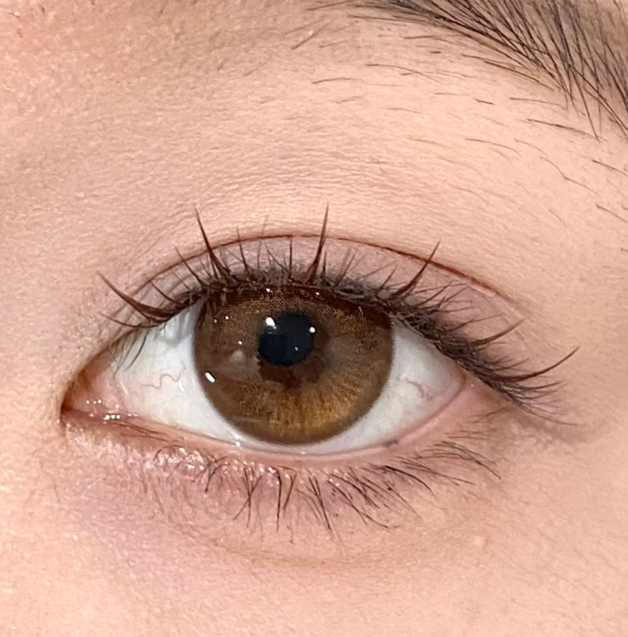 Western Eyes Lemon Choco