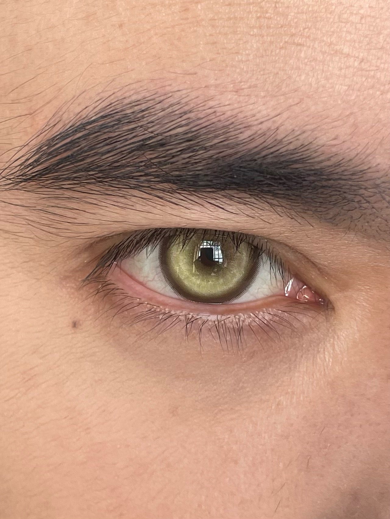 BJD Koi Golden Brown - Ohmykitty Online Store