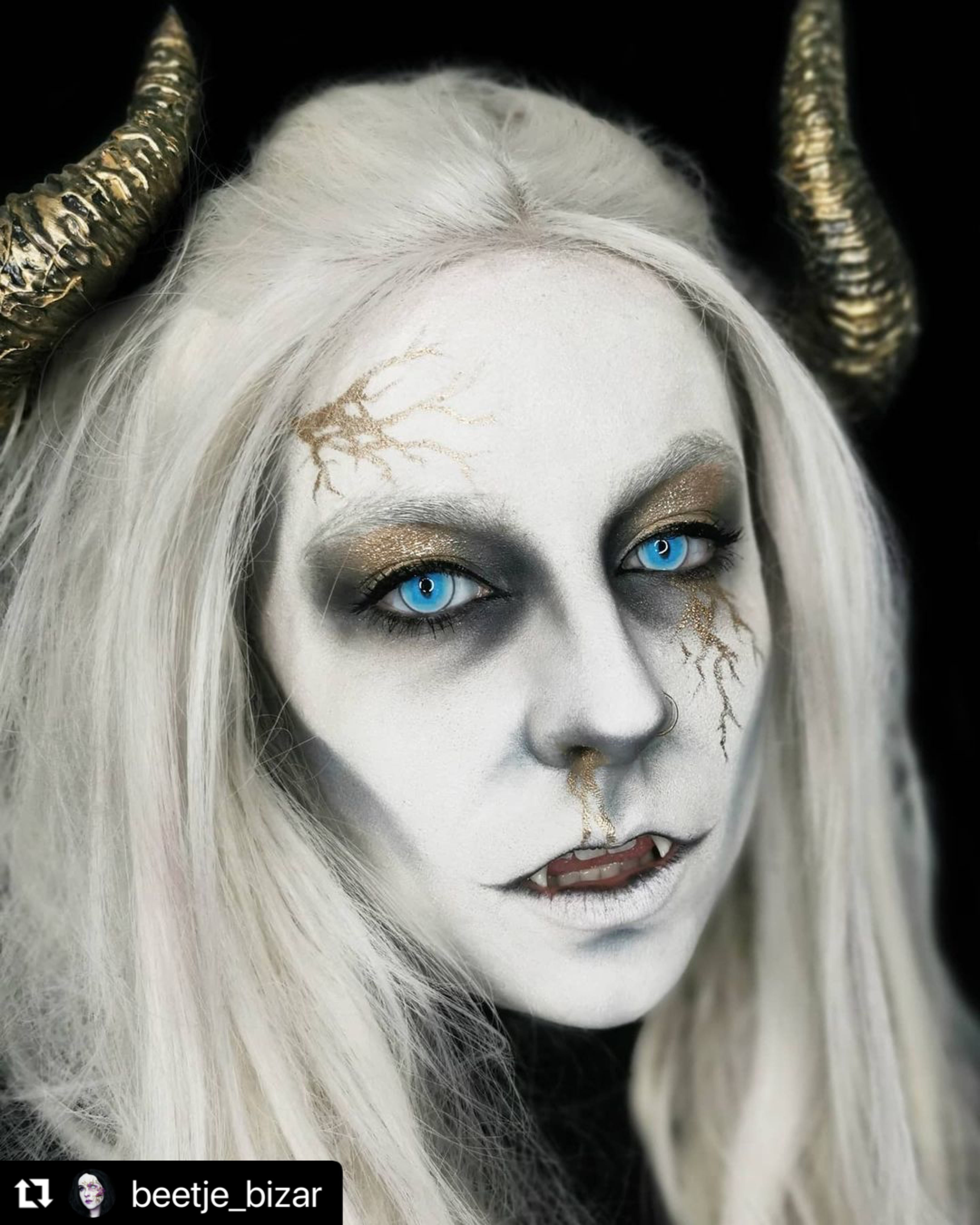 SFX Ragdoll Cat Blue SFX Ragdoll Cat Blue