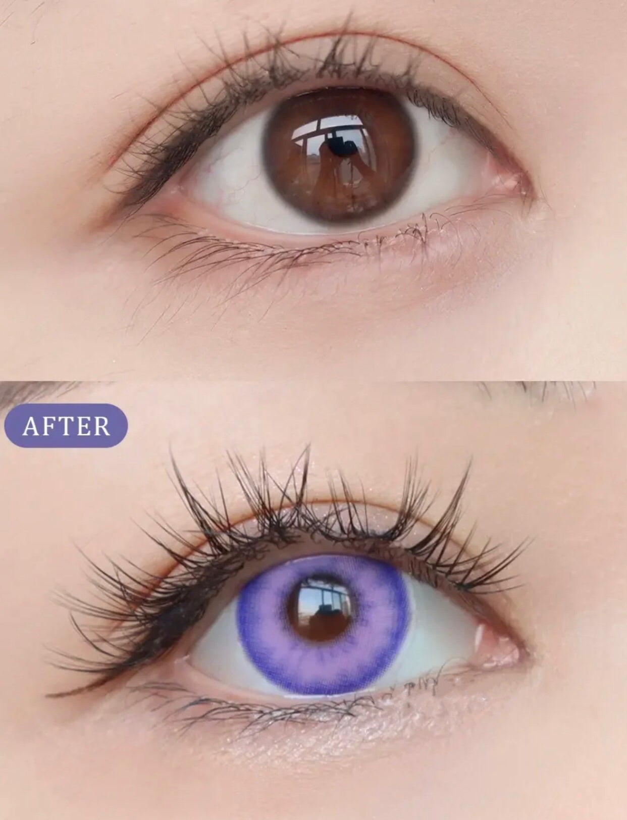 Doya Bossy 1-Day Cosplay Contacts in Bright Purple, Blue and Yellow