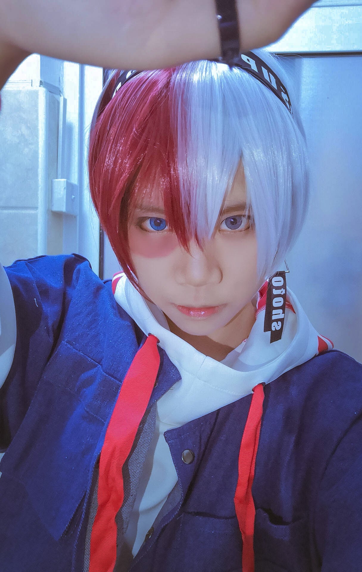 My Hero Academia - Shoto Todoroki  - Cosplay Wig